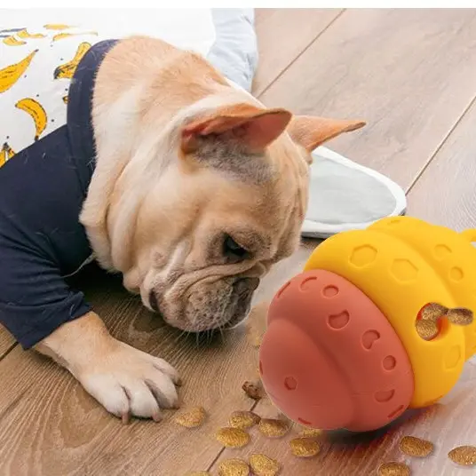 Dog Treat Dispenser