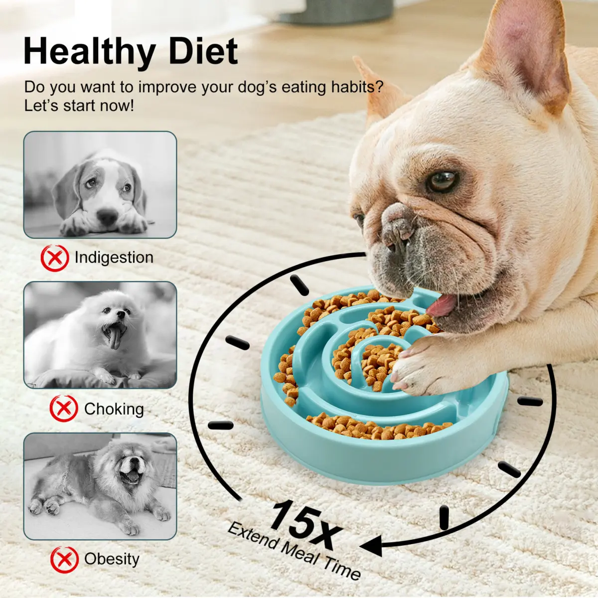 Pet Slow Feeder bowl