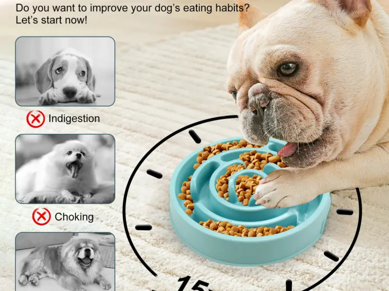 Pet Slow Feeder bowl