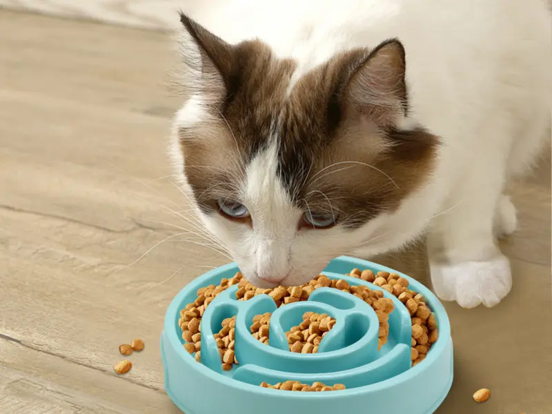Pet Slow Feeder bowl