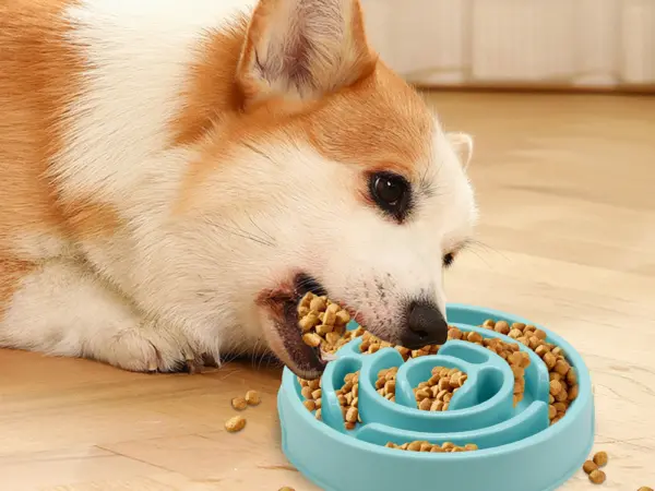 Pet Slow Feeder bowl