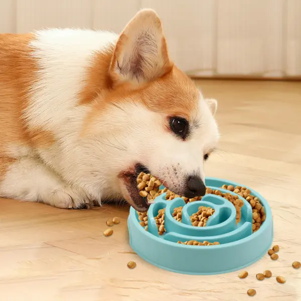 Pet Slow Feeder bowl